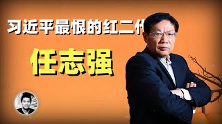 习近平最恨的红二代：任志强的性情人生 [upl. by Iturk]