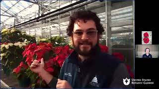 Ask an Expert Growing Poinsettias Online QampA [upl. by Rosalie687]