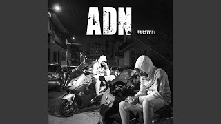 ADN FreeStyle [upl. by Sackman]