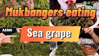 Mukbangers eating Seagrape  Mukbang compilation [upl. by Salita]