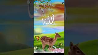 Rabbe Konain Mere Dil Ki Duayen Sun Le❤️ shorts allah dua hamd islamicnaat trending youtube [upl. by Namrehs]