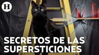 Enterrar un cuchillo gato negro y pasar bajo una escalera supersticiones más populares en México [upl. by Eimmelc]