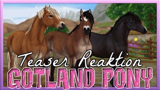 Das GOTLAND PONY 🐴💗 Star Stable Teaser Reaktion SSO [upl. by Aropizt]