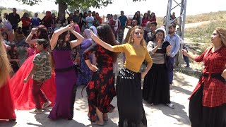 SAFRANBOLU GÜMÜŞ KÜRT MAHALESİ EĞLENCELİ DÜĞÜN WEDDİNG DANCE [upl. by Anett436]