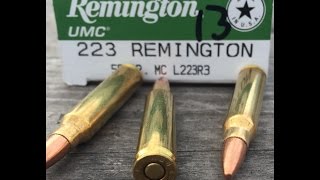 223 Remington 55gr FMJ Remington UMC L223R3 Velocity Test [upl. by Arima559]