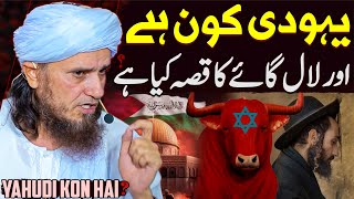 Yahudi Kon Hai Aur Red Cow Israel History In Islam  Mufti Tariq Masood  History Of Masjid Al Aqsa [upl. by Enirehtacyram435]