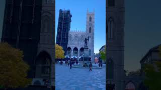 Montréal Basilique Notre Dame travel city canada nature beautiful oldmontreal [upl. by Furie367]