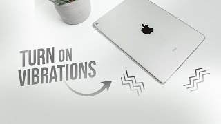 How to Turn On Vibrations on iPad explained [upl. by Seraphim]