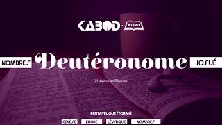 « Deutéronome »  LAncien Testament  La Sainte Bible audio VF Complète [upl. by Anelagna]