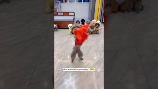 Funny animals video 😂🤣 CUTE animals dance video ❤️❤️💗 CUTE cats dogs dance video 😍🤗🐶😺💞 shorts [upl. by Pirozzo264]