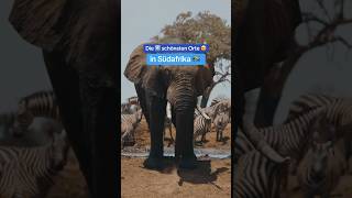 Die 5 schönsten Orte in Südafrika 🇿🇦🦒🌍 [upl. by Cramer]