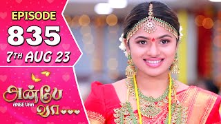 Anbe Vaa Serial Episode 835  6 th Aug 2023  Virat  Delna Davis  Saregama TV Shows Tamil [upl. by Alrahs677]