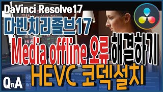 다빈치리졸브 17 강좌QnA 미디어오프라인 media offline 오류 해결 HEVC코덱설치 미디어오프라인에러 [upl. by Iam]