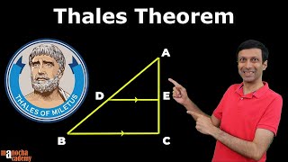 Thales Theorem Class 10  Basic Proportionality Theorem [upl. by Norvell]