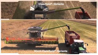 Das Clearfield®System – Eindrücke bei der Ernte [upl. by Huei]