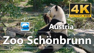 Zoo Schönbrunn Vienna Austria ► Travel Video 4K ► Travel in Austria TouchOfWorld [upl. by Arber]