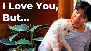 Rehoming Your Dog Coping With Guilt amp Grief When You Have to Give Your Dog Away [upl. by Reffineg]