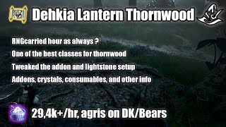 BDO  Thornwood Dehkia Lantern 22500 Trash Yellow  Succession Guardian  PVE  20240918 [upl. by Hollingsworth696]