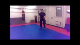 Learn English Backsword  Basic Stance [upl. by Assira]