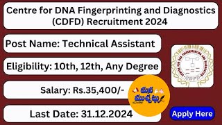 CDFD RECRUITMENT 2024  10th INTER DEGREE  Last Date 31 December 2024  ManaMuchatlu [upl. by Hatch]