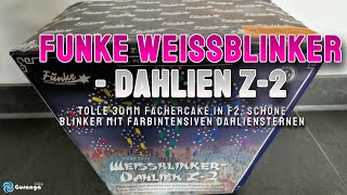 4K  Funke WeissblinkerDahlien Z2 30mm Cakebox Batch 2020 [upl. by Oterol901]