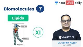 Biomolecules  L 7  Lipids  Class 11  Unacademy NEET  LIVE DAILY  NEET Biology  Sachin Sir [upl. by Scotty]