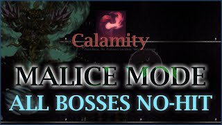 Terraria Calamity Mod  All Bosses Malice Mode NOHIT V150003 [upl. by Eirrak]