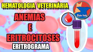 Interpretação do hemograma  Eritrograma Parte 1  Medicina veterinária [upl. by Assirk]