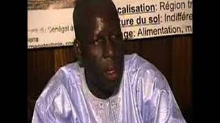 Témoignage sur Serigne Samba Ndiaye [upl. by Kegan557]