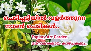 Traditional Flowering plants of keralaNaadan chedikalTopiary Art GardenFlowering plantSaluKoshy [upl. by Norha646]