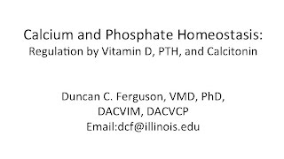 Calcium Physiology Regulation by Vitamin D PTH and Calcitonin [upl. by Luapleahcim]