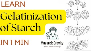 Gelatinization Of Starch  Food chemistry  starch [upl. by Reed]