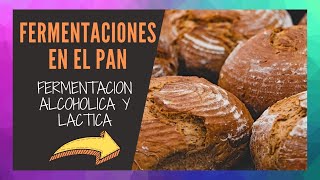 ✅PROCESOS de FERMENTACION del Pan ✅TECNICAS y SECRETOS del PAN [upl. by Meaghan813]