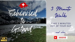 4K Scenic Walk from Schönried to Gstaad with Shiba Inu  Scenic Switzerland Tour [upl. by Yruj]