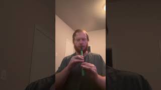 Humors of Whiskey Balad Custom 3D printed Tin whistle [upl. by Nashner]