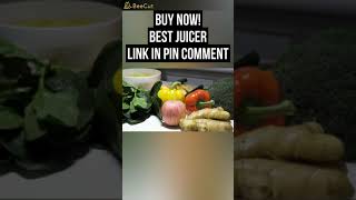 Best Juicer  Aeitto Slow Juicer Slow Masticating Juicer Machine [upl. by Piegari]