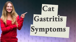 What are symptoms of gastritis in cats [upl. by Tekcirc]