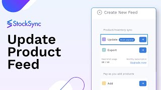 Update Existing Products in your Online Store with Stock Sync [upl. by Leaper991]