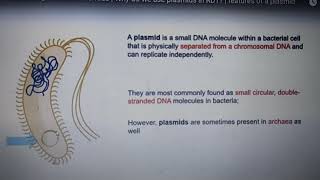 Plasmid definition [upl. by Ekalb]