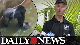 Cincinnati Zoos director defends decision to kill Harambe the gorilla [upl. by Vlada86]