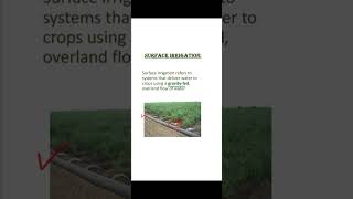 Irrigation Method Drip Sprinkle Surface irrigation HindiUrdu conceptsofbotany [upl. by Acinomaj]