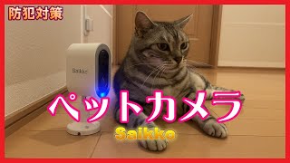 【防犯対策】初めての防犯カメラに最適 Saikko jennov【ペットカメラ】 [upl. by Roarke235]