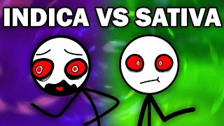 INDICA VS SATIVA [upl. by Bozovich779]