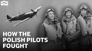 The Polish Pilots of the Battle of Britain [upl. by Xuaeb]