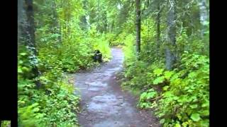 Talkeetna Lakes Trail Alaska Wilderness Trek [upl. by Anuahsat]