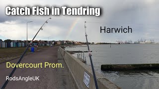 Catch Fish in Tendring HARWICH  DOVERCOURT PROMENADE [upl. by Adyl]