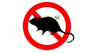 ▶️ Mouse amp Rat Ultra Sonic Deterrent Mice Ultrasonic Repellent 12 Hours 🌏 [upl. by Breskin]