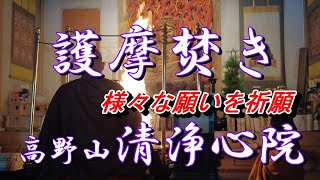 【高野山清浄心院 護摩焚き】護摩の炎で護摩木を焼供し願いを祈願！ 護摩祈願 清浄心院 高野山 神秘的な儀式 サンスクリット 願い事 護摩壇 [upl. by Nolte]