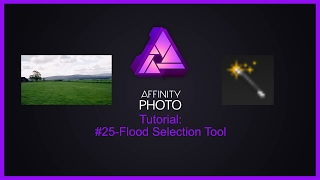 Affinity Photo Tutorial 25Flood Selection Tool [upl. by Aihsemak]