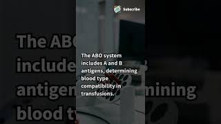 Understanding new Blood Groups science ytshortsbloodgroup haematology ncert biology [upl. by Cybil76]